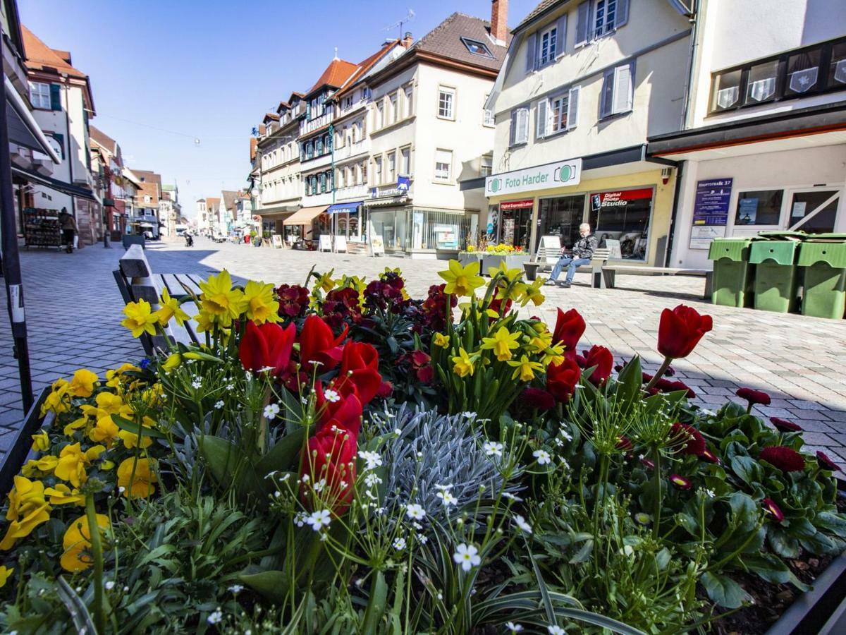 Ferienwohnung Innenstadt Oberkirch  Extérieur photo